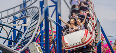 Rides & Attractions